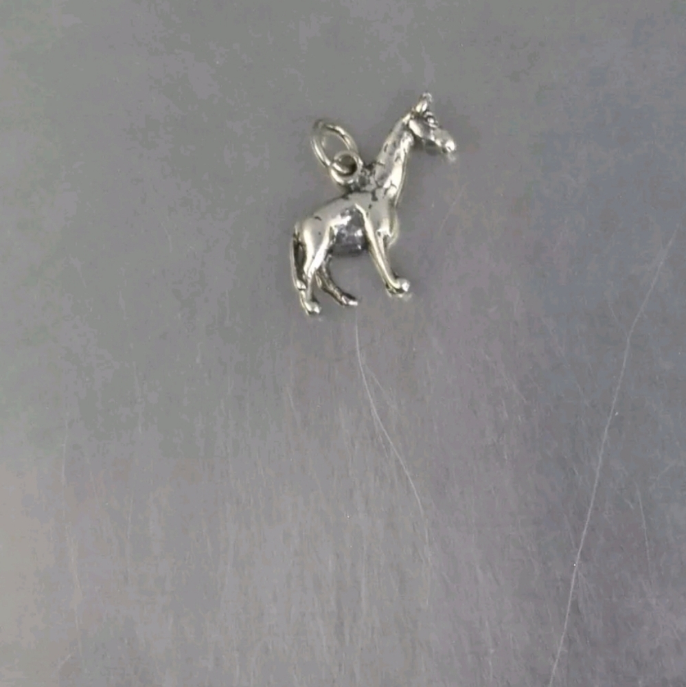 Sterling silver giraffe charm